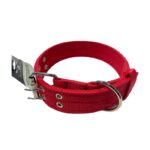Collar de Cinta Reforzado L