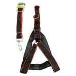 Pretal proteccion nro 5 Love Pets